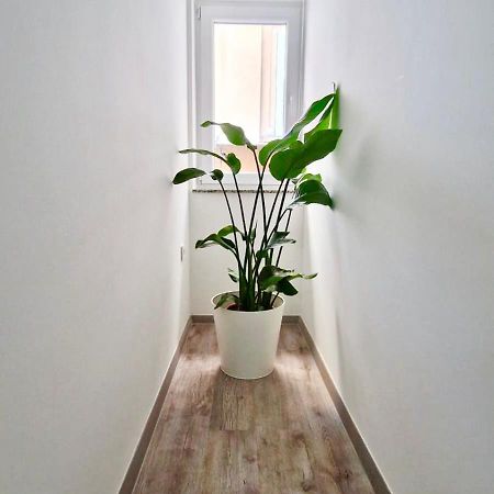 Ljubljana Central Cozy Apartment W Free Parking Eksteriør bilde